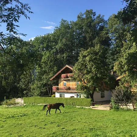 In Walchen Near Lift Apartment