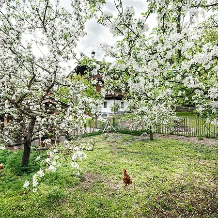 Apartment In Walchen Near Lift *