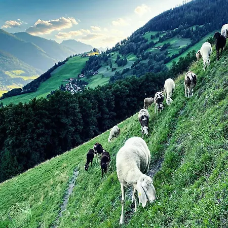 In Walchen Near Lift Piesendorf